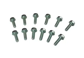 38711 Moroso Performance Products For Gm Ls Header Bolts