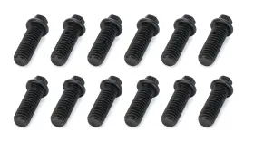 Schoenfeld 3002-12 Header Bolt 3/8-16 X 1in 5/16 Head 12 Pack