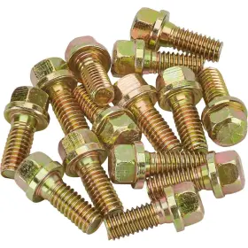 550976 Speedway Motors Header Bolts 5/16-18 X 3/4 Inch Set/14
