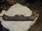 Exhaust Manifold 81-86 Sbc 305 C-k Pickups 14031376 14043069 4454 IP2928 Used. Price: $42.00.