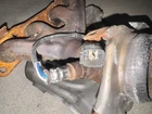 2020-2022 Toyota Corolla Engine Exhaust Manifold 17141-37230 Oem Used. Price: $160.00.
