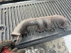 Original 1955 And Early 1956 Thunderburd Very Nice Used Right Exhaust Manifold. Price: $150.00.
