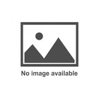 Schoenfeld Headers Sbc Stock Clip 1-5/8IN 1-3/4IN Coll. 155LV3CM-3 New. Price: $465.01.