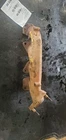 Passenger Right Exhaust Manifold 5.0L Fits 11-14 Ford F150 Pickup 1135141 Used. Price: $79.90.