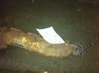 03 04 05 06 07 08 09 10 11 Crown Victoria Right Exhaust Manifold 4.6 Liter Used. Price: $55.63.