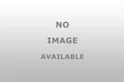 Dorman 32128 Manifold Screws Reliable Performance New. Price: $39.99.