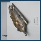 2011-2017 Jeep Grand Cherokee Exhaust Manifold Shield Upper Right 05038538AC Used. Price: $99.09.