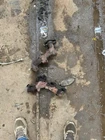 1994 Mazda B3000 Exhaust Manifold Set Pair ZZM713451 Series 3.0 Used. Price: $112.50.