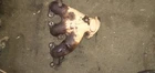 95 96 97 Lexus LX450 Toyota Land Cruiser Oem Pair Exhaust Manifold 4.5L FZJ80 Used. Price: $85.00.