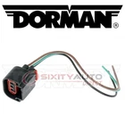 Dorman Techoice Headlight Socket 2009-2014 Ford Flex Electrical Lighting Ox New. Price: $18.81.