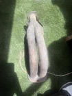 92-95 Civic Engine Exhaust Manifold Front Pipe Down Tube Double Inlet Used. Price: $50.00.