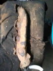 Passenger Right Exhaust Manifold 8-330 5.4L Fits 00-15 Ford E350 Van 159374 Used. Price: $80.00.
