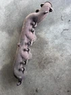7.3 Powerstroke Exhaust Manifold Drivers Side Lh 1999 Ford F250 F350 Diesel Used. Price: $90.00.