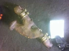 94 95 96 97 Mercedes S500CPE Right Exhaust Manifold 129 Type SL500 4.2 Liter Used. Price: $59.39.