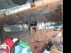 Paccar 2124731 Exhaust Manifold MX13 Used. Price: $150.00.