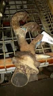 Driver Exhaust Manifold 4.2L 6-256 Fits 97-98 Ford E150 Van 1005486 Used. Price: $88.51.