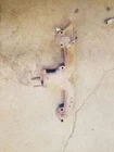 Driver Left Exhaust Manifold 8-283 Fits 58-63 Chevrolet Pass. 220515 Used. Price: $69.99.