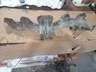 3692604 Cummins X15 Exhaust Manifold Used. Price: $300.00.