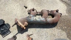 Passenger Exhaust Manifold 4.3L Fits 14-18 Sierra 1500 Pickup 1134516 Used. Price: $89.99.