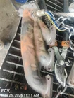 Right Exhaust Manifold Oem 13-19 Q7 Audi 1YR Wrnty 06E253032AC Used. Price: $65.00.