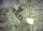 87-88 Chevrolet Chevy Caprice Driver Left Exhaust Manifold 8-305 5.0 Liter Used. Price: $155.00.