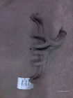 Exhaust Manifold 6-242 4.0L Fits 91-99 Cherokee 61160 Used. Price: $100.00.