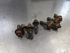 Bmw 525I E60 2007 Oe Exhaust Manifold Nut Hardware Fastener 11-12-7-506-203 4N Used. Price: $28.88.