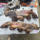 Exhaust Manifold Pair Set 04-10 Ford F-150 5.4 3L3E9430DA Used. Price: $56.25.