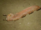 Exhaust Manifold Passenger Right For Expedition F150 F250 Pickup Used. Price: $29.00.