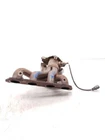 Exhaust Manifold Fits 08-12 Scion Xd Used. Price: $114.99.