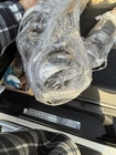 Bbk Performance Parts 4054 10-15 Camaro 1-7/8 Long Tube Headers W/cats ( V6 Used. Price: $1200.00.