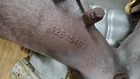 Passenger Side Exhaust Manifold From 2011 Chevrolet Impala 3.5L 12615497 Used. Price: $55.00.