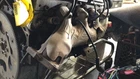 02-14 Cadillac Escalade Passenger Right Exhaust Assembly 6.0L Manifold. Used. Price: $84.55.