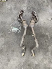 Mustang Gt Oem Headers And Connecting Mid Pipe 2018-2023 70K Miles Used. Price: $850.00.