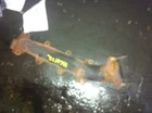 06 07 08 Ford Explorer Right Exhaust Manifold 8-280 4.6 Liter 3 Volt Used. Price: $151.19.