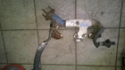 Driver Exhaust Manifold 6-262 4.3L Fits 98-01 Blazer S10/JIMMY S15 402526 Used. Price: $68.99.
