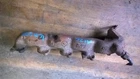 Passenger Right Exhaust Manifold Fits 95-02 Crown Victoria 453777 Used. Price: $75.99.