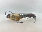 2021-2025 Ford Bronco Sport 4WD 1.5L Gas Front Exhaust Pipe Tube See Pic!!!!!!!! Used. Price: $520.00.