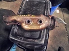 Driver Left Exhaust Manifold 4.2L Fits 03-06 Audi A8 296081 Used. Price: $144.99.