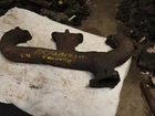1969 Camaro Chevelle Nova Rs Ss Exhaust Manifold Casting# 3942529 GH225 Used. Price: $49.00.