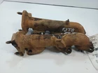 Pair Exhaust Manifolds 6 Cylinder Engine From 1999 Runner (13011455 Used. Price: $112.68.