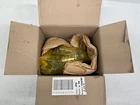 New 2018-2021 Hyundai Tucson 2.4L L4 Catalytic Exhaust Manifold Oem 28510-2GDN0 Used. Price: $1169.10.