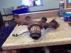 97 98 99 00 01 02 03 Century Alero Impala Aztek Exhaust Manifold 3.1L Rear Oem Used. Price: $30.49.