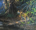 Michael Sieve Big Cat Art Print River Heat-jaguar S/n 25"X16.5" New. Price: $125.00.