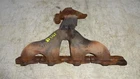 Exhaust Manifold 2.2L No Air Check Valve Fits 02-06 Vue 670303 Used. Price: $65.00.