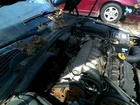Passenger Exhaust Manifold Cylinder Rear Fits 99-03 Saab 9-5 156640 Used. Price: $50.00.