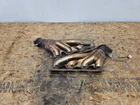Dodge Challenger R/t Scat Pack 21-23 6.4L Engine Motor Exhaust Manifold Header Used. Price: $439.99.