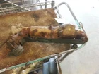 Passenger Exhaust Manifold 8-350 5.7L Fits 81-86 Caprice 517197 Used. Price: $63.00.