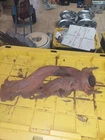 RFFL3E-9431-BA Ford Exhaust Manifold Used. Price: $99.99.
