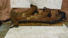 05 06 07 08 09 10 Ford Mustang R. Exhaust Manifold 4.0L Sohc 275419 Used. Price: $94.28.